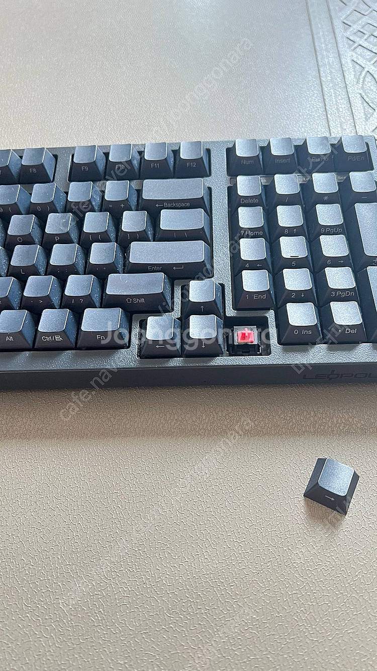 레오폴드 980m 저소음 적축 기계식키보드 LEOFOL...--4