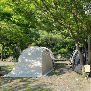 카르닉 그랜드 리빙쉘터(크림)+이너텐트