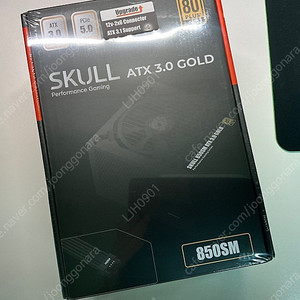 [미개봉] 뉴젠 스컬 NEWZEN SKULL 850SM MODULAR ATX 3.0 80PLUS GOLD (PCIE5) 파워 팝니다