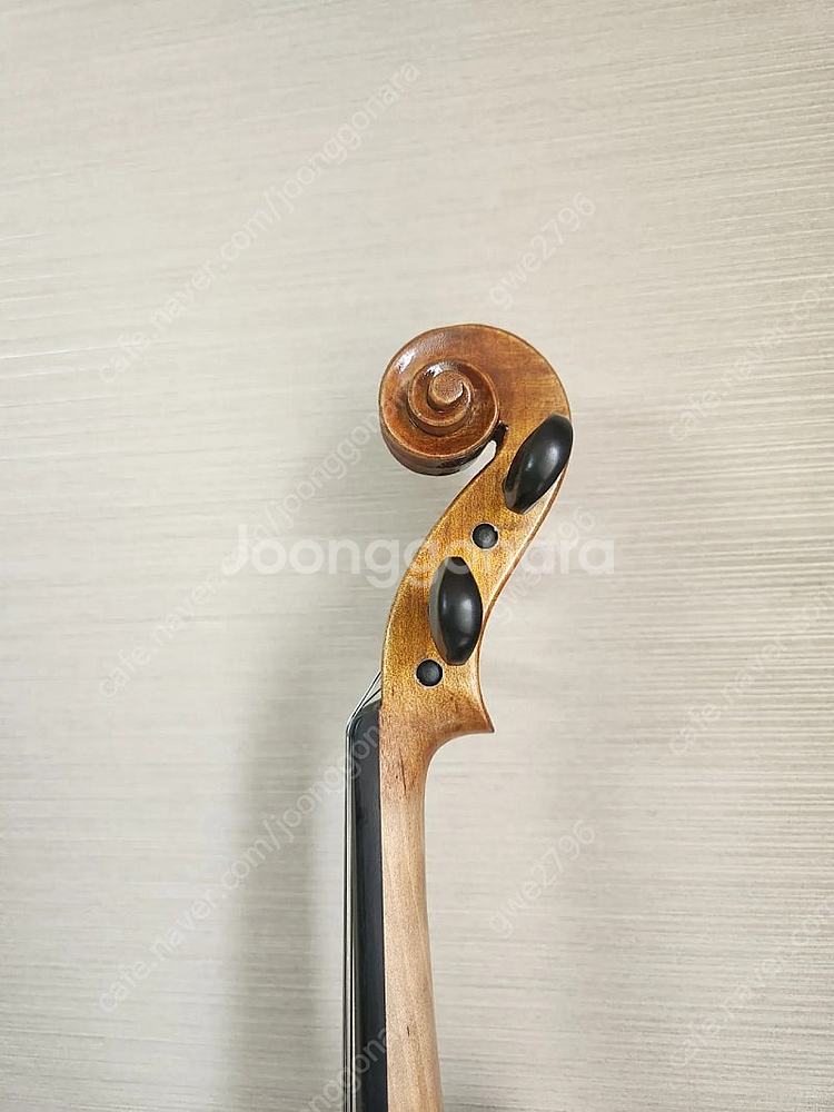 독일 바이올린 성인 취미용 새악기 바이올린 (원본 보증...--3