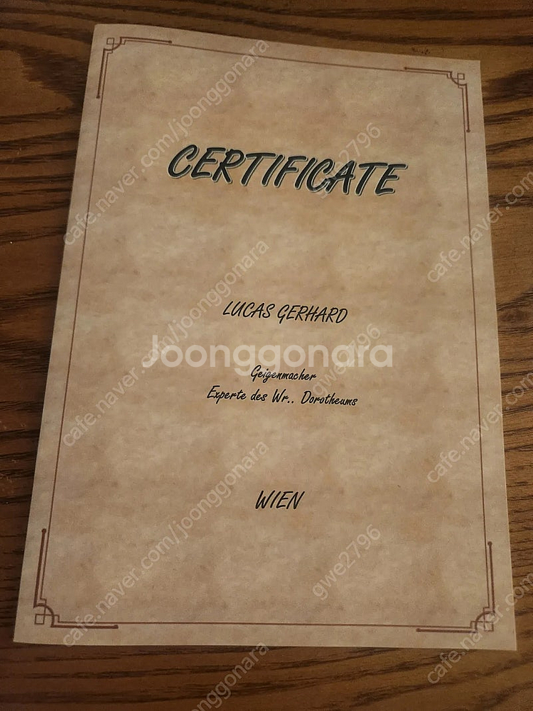독일 바이올린 성인 취미용 새악기 바이올린 (원본 보증...--5