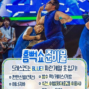 [싸이/흠뻑쇼] 싸이 흠뻑쇼 과천,서울 콘서트 마지막 / 토요일 공연 / VIP석 2연석 OR 4연석 / 급매물(가격다운)