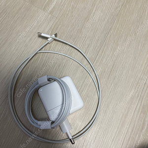 애플 아답터 Apple 정품 30W USB-C 전원 어댑터 MW2G3KH/A