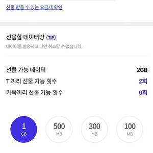 SKT 데이터 2기가(2G) 3,000원