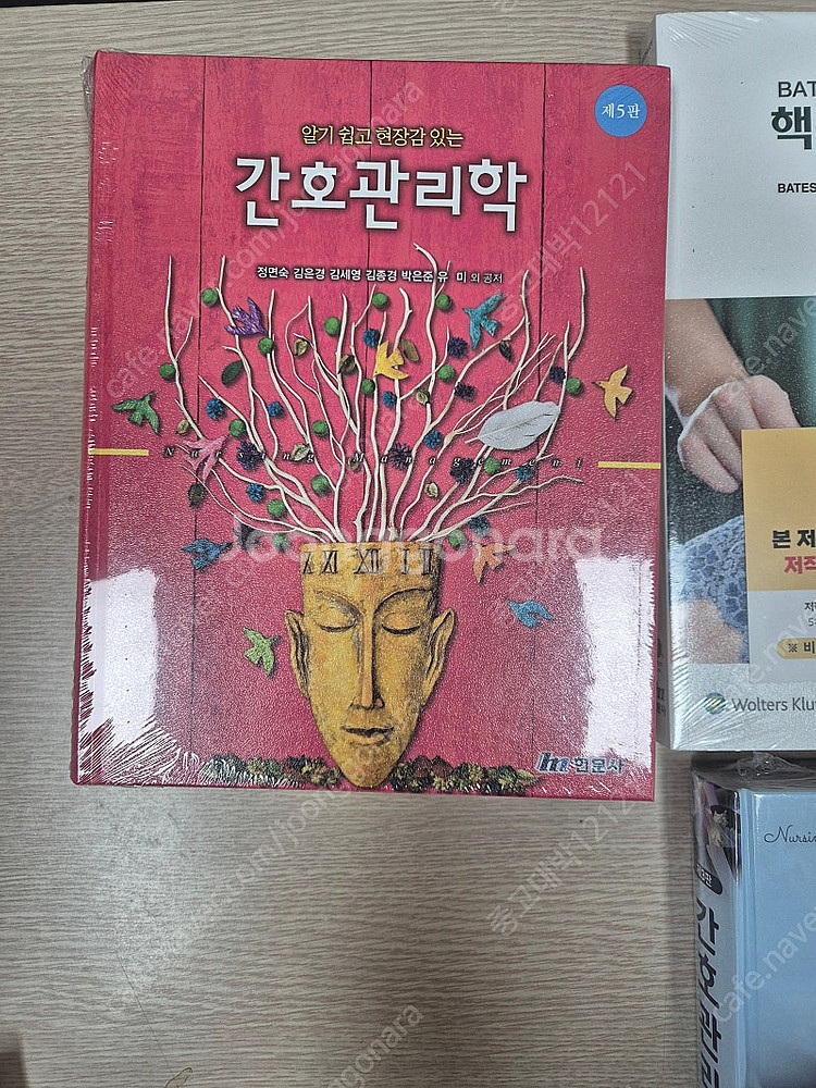 간호학 성인 수문사 관리학--0