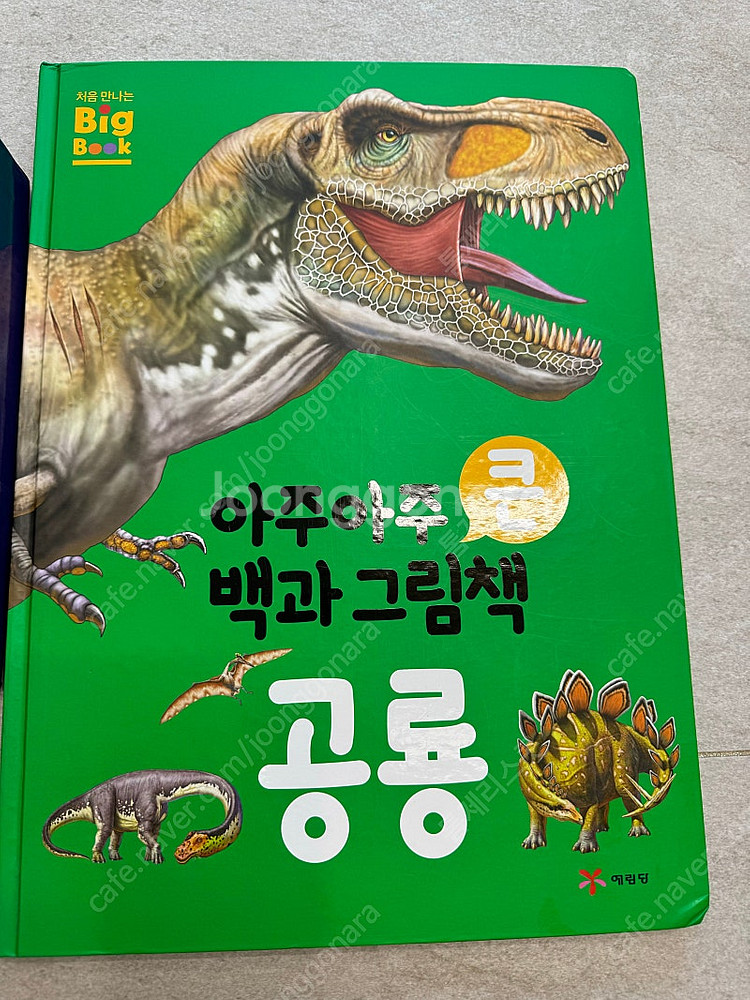 시찌다 공룡 카드와 공룡 빅북2권--2
