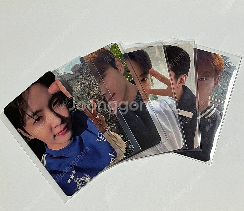SF9 다원 재윤 주호 X 베테제 포토카드--1