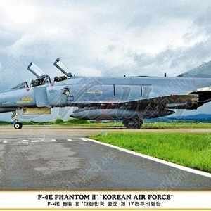 [구매] 하세가와 1/48 한국공군 F-4E 구합니다