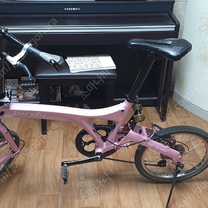 버디 자전거 미니벨로 판매