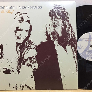 LP ; robert plant & alison krauss - raise the roof 로버트 플랜트, 엘리슨 크라우스 엘피 음반 rock