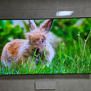 LG 77인치 OLED TV