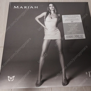 머라이어 캐리(Mariah Carey) LP 팝니다