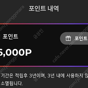 lg전자 멤버십 포인트 266,000포인트 팝니다