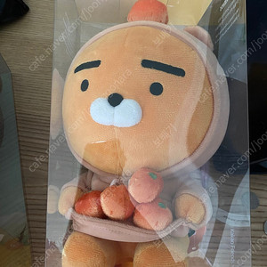 카카오제주에디션