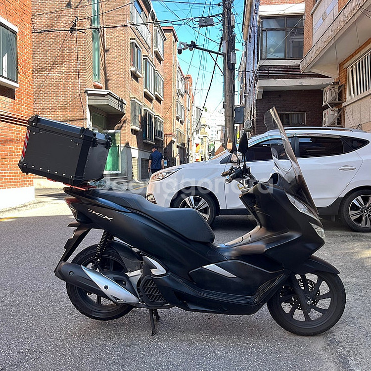 pcx 2019년식 3만3챤키로 컨디션 좋은치량입니다--2