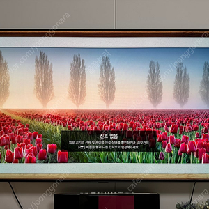 LG OLED TV 55인치 벽걸이형 판매합니다~