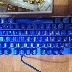 Thunderobot BlueBlood K750B RGB(흑축)