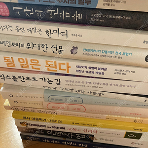 래스티 레븐슨 서적 외) 영성서적, 마움공뷰 서적 여러가지 펄아요.