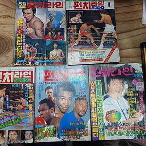 월간 . . 펀치라인 (BOXING )