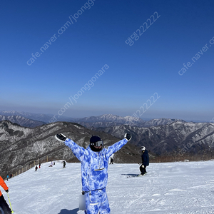 엘나스 블렌트 요비트 보드복 판매합니다