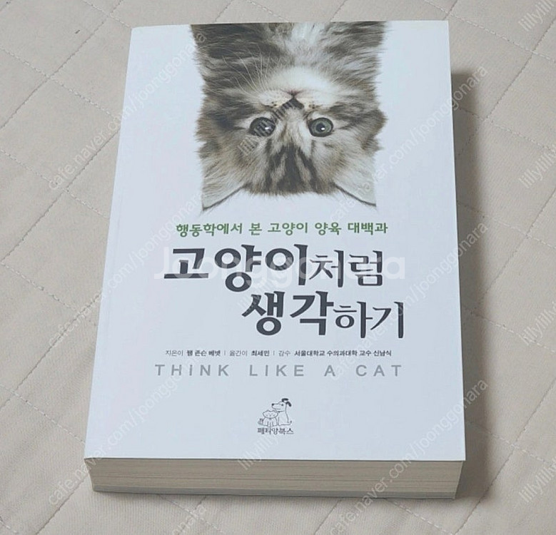 반값 에세이 일본 생활만화책 소설 만화 생활툰 등등--0