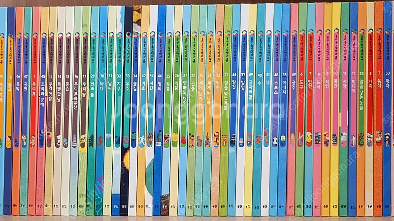 호기심백과큐 웅진다책--0