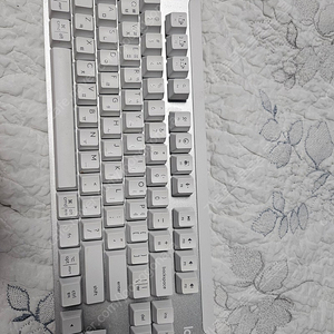 로지텍 k855 키보드 화이트 키보드