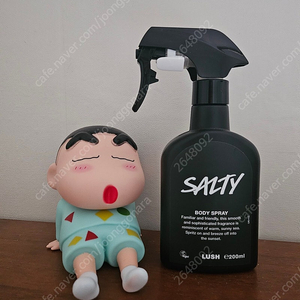 러쉬 솔티 LUSH Salty