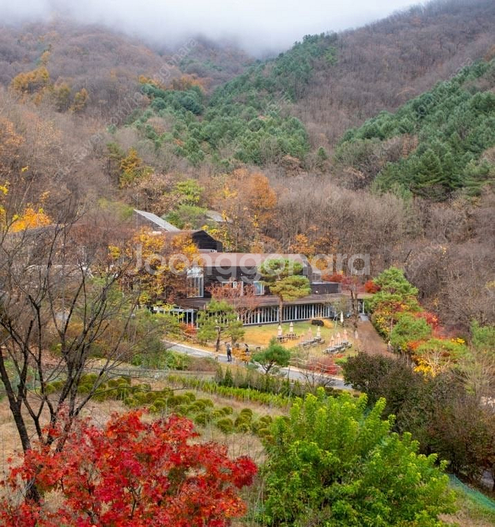 힐리언스 선마을 쉼스테이 스위트(4인1실 2식) 숙박권...--9