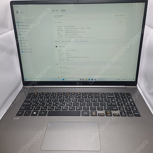 LG 그램17 17ZD990-VX7BK i7/16GB/256GB