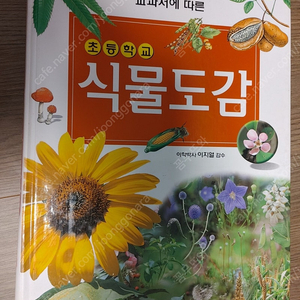 교과서에 따른 초등학교 식물도감