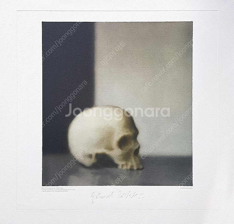 게르하르트 리히터 Gerhard Richter 판화작품...--7