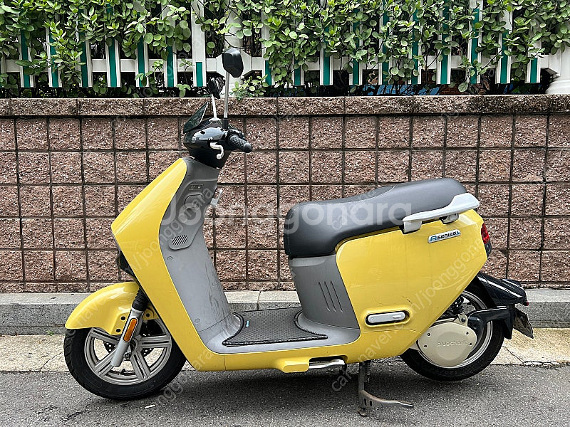 블루샤크 r1 lite--0
