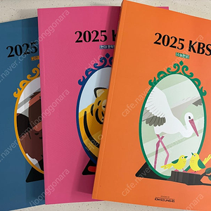 대성마이맥 김승리 2025 kbs 수특 수완 (고전, 현대)