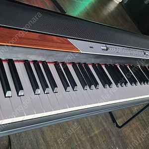 Korg sp250 신품같은 중고