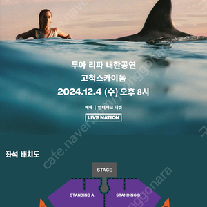 두아리파 내한공연 수요일 지정석