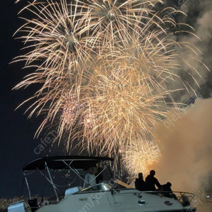 여의도 불꽃 축제 보트 관람