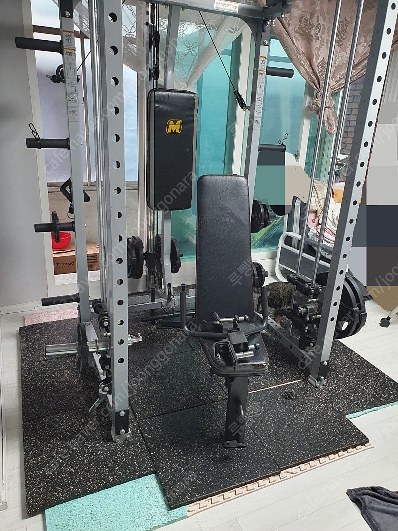 스미스머신 3대운동가 일괄 (머신+원판+바닥매트+벤치) | 중고나라 - 안심되는 중고거래