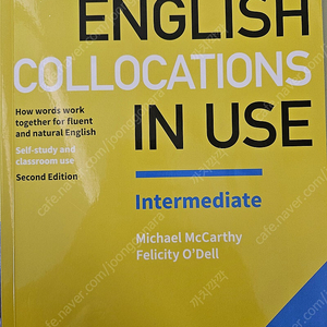 English collocations in use