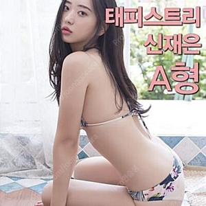 신재은 테피스트리 A형 새상품