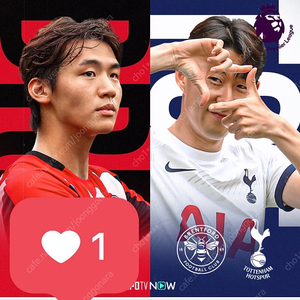 9/21 토트넘 vs 브랜트포드