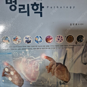 현문사 제6판 병리학 팝니다 김양호 저자