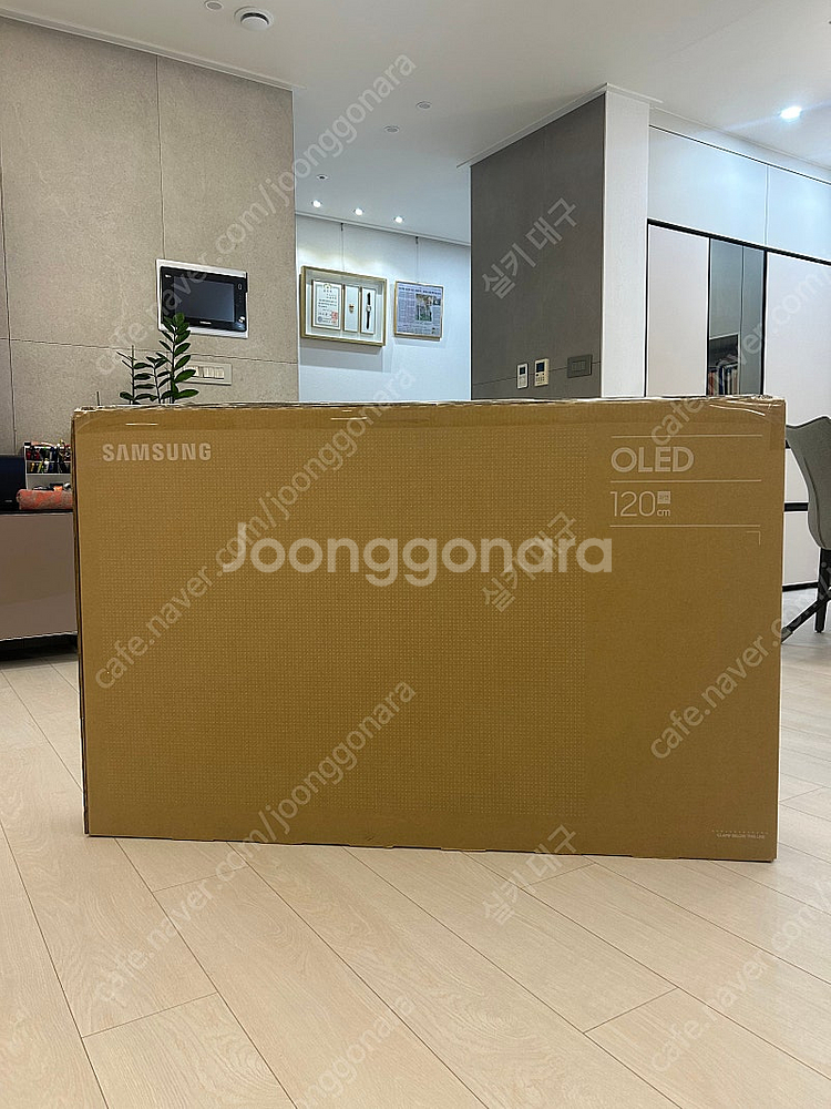 삼성 OLED 48인치--2
