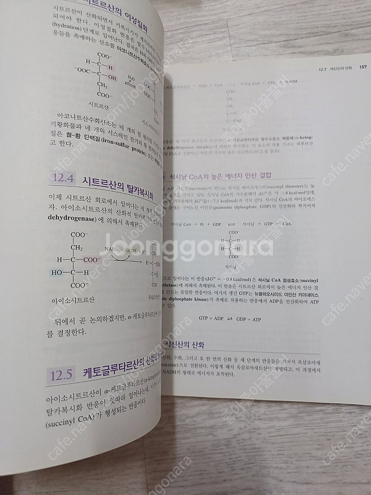 기초생화학 윤문영--1