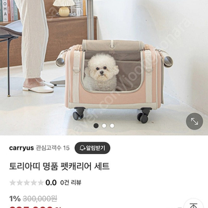 토리아띠 강아지 이동가방