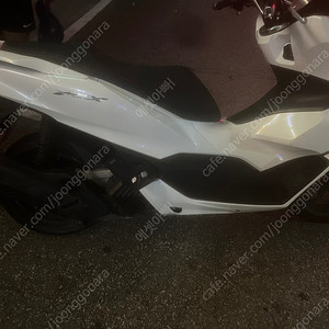 pcx2022 abs