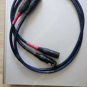 카다스 크로스링크 1I xlr 인터케이블