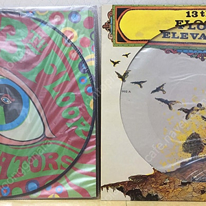 LP ; 13th floor elevators 싸이키델릭 락 명반 엘피 음반 픽쳐디스크 psychedelic rock