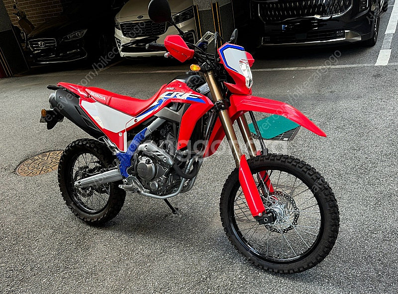 Crf300l--1