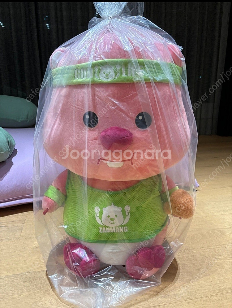 잔망루피 인형--0